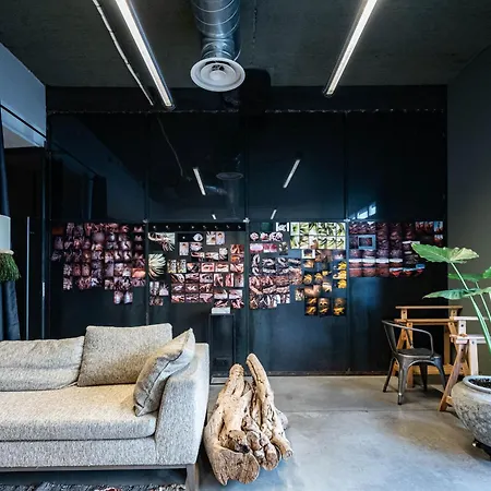 Apartament Loft Architecte Design 10 Mn Cannes Fif And Sophia Antipolis *